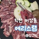 익산부천중학교 | [익산 맛집] 오붓하게 즐기는 익산 양고기 데이트 '에리스램'