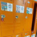 카페꽃길 | 서면방탈출카페 추천 부산꽃길테마 미스테리인 노키즈존 후기