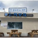 눈의꼬치