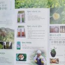 황매산 허굴산방 네이버블로그