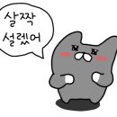 카페일다경