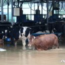 유실목장 이미지