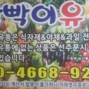 빡빡이과일