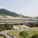서울대학교 티스토리