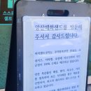 양산매화샌드 | 양산 디저트 맛집 양산 물금 디저트 양산 매화샌드 후기