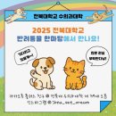 전북대 익산켐퍼스(동물병원) | 2025 전북대학교 반려동물한마당 “익산에서 즐기는 반려동물 축제, 함께해요!”