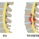 슈퍼짐 헬스휘트니스 이미지