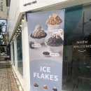 아틀리에빈대평점 이미지