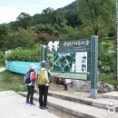 치유의 숲 주차장 화장실 이미지