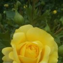 어울림2 이미지