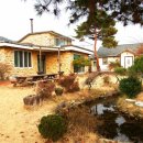 네이처캠(주) 이미지