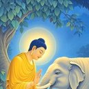 미르약국 이미지