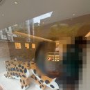 (주)휴먼퍼스트 | 휴먼메이드 압구정 입장 당첨후기 및 방문후기 포켓몬메이드 휴먼메이드 포켓몬 콜라보