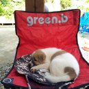 산돌약국 이미지