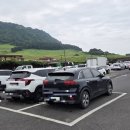 꽃담 | 제주도맛집추천 성산일출봉 필수 코스! 호빗마을 감성 가득한 꽃담수제버거 후기
