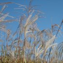 오름이야기 이미지