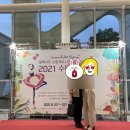 2021 수원발레축제 이미지