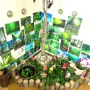 사랑나무유치원 이미지