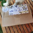 더야무지개 이미지