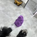 24시위드유동물의료센터