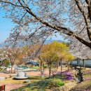 용두공원로 이미지