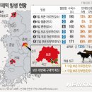 플러스한우농장 이미지