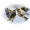 이*희 - 안양시 만안구 병목안로110번길 | 이*희