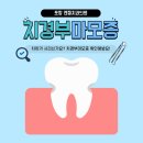 엔젤치과의원 네이버블로그