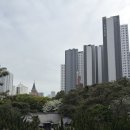 카페로띠번