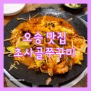 초사골 - 아산시 | [오송맛집 ㅣ청주 회식] 초사골쭈꾸미 솔직후기