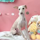 포스코대로 이미지