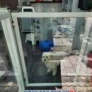 포동이 펫살롱 이미지