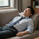 D-4 | 비타민D 결핍 및 섭취법 비교 4주 솔직 후기