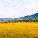 문화유산여행길(2코스) 이미지