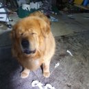 삼멍삼냥 이미지