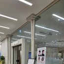 포레온새싹약국 이미지