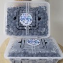 하성농장 이미지