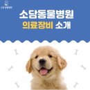 소담동물병원 이미지