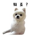 헤이멍 이미지
