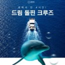 괌 돌핀투어 예약 데이투어 돌핀크루즈 추천 후기