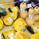 지산유통 이미지