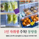 몽땅풀