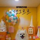 댕그르르 이미지