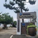 진도주조장 | 해남여행 1일차 해창주조장, 땅끝모노레일 타고 땅끝전망대