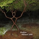 Amazing Trees(놀라운 나무) 이미지