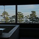 파라스테이 이미지