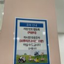 경기도 안양키즈카페 브루미즈키즈카페 가격 후기