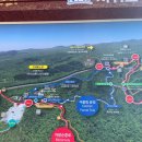 서귀포자연휴양림2 이미지