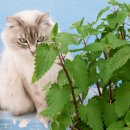 수성동물병원(일반동물병원) 이미지