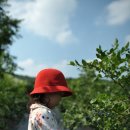 밤나무골농장 이미지